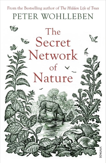 Afbeelding van The Secret Network of Nature