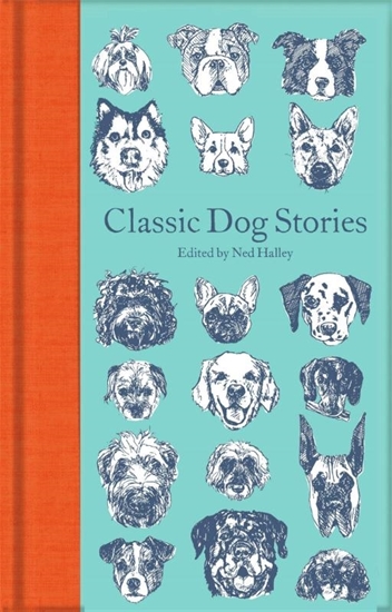 Afbeelding van Macmillan Collector's Library Classic Dog Stories