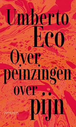 Afbeeldingen van Overpeinzingen over pijn