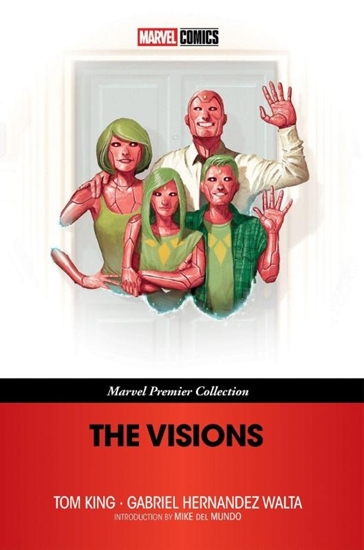 Afbeelding van Marvel Comics The Visions (Marvel Premier Collection)
