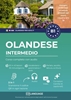 Afbeelding van Imparare l'olandese B1 intermedio. Corso completo dall'A2 al B1 con audio (Nederlands voor Italianen)