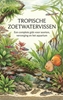 Afbeelding van Tropische zoetwatervissen