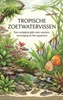 Afbeelding van Tropische zoetwatervissen