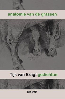 Afbeeldingen van Anatomie van de grassen