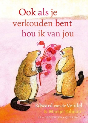 Afbeeldingen van 12 1/2 gedichten Ook als je verkouden bent hou ik van jou