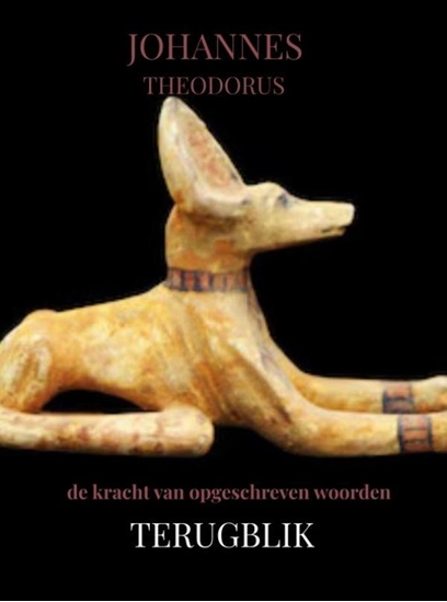 Afbeelding van TERUGBLIK