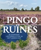 Afbeelding van Pingoruïnes