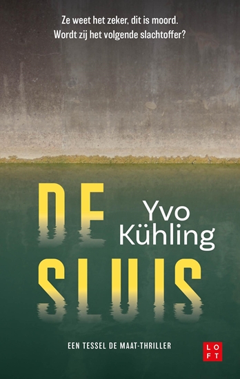 Afbeelding van Tessel de Maat De sluis
