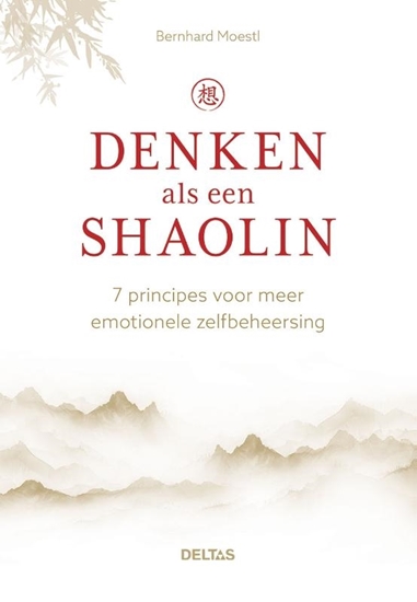 Afbeelding van Denken als een Shaolin