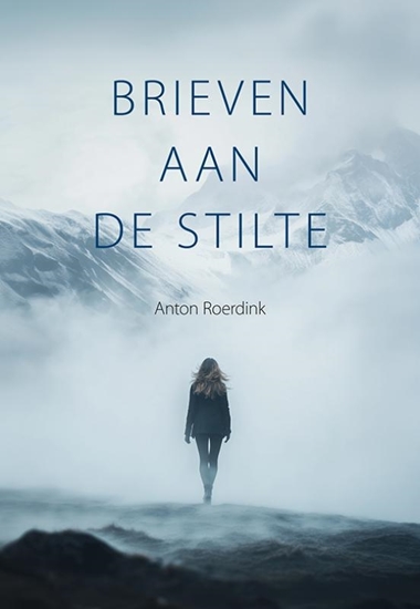 Afbeelding van Brieven aan de stilte