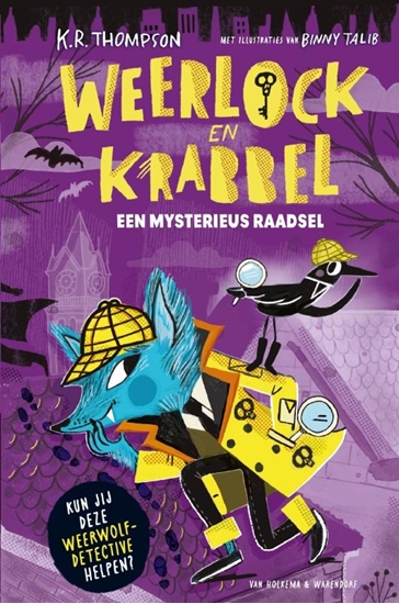 Afbeelding van Weerlock en Krabbel Een mysterieus raadsel