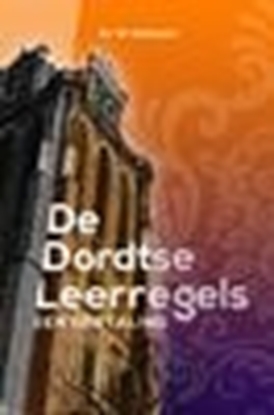 Afbeeldingen van De Dordtse Leerregels