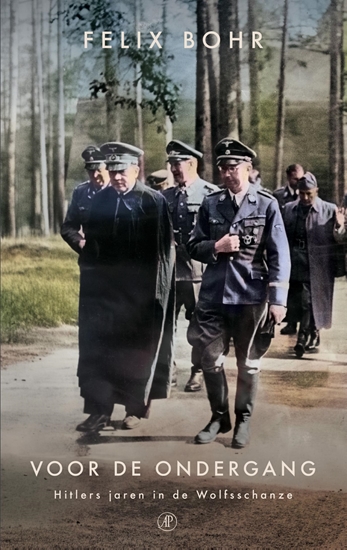 Afbeelding van Voor de ondergang