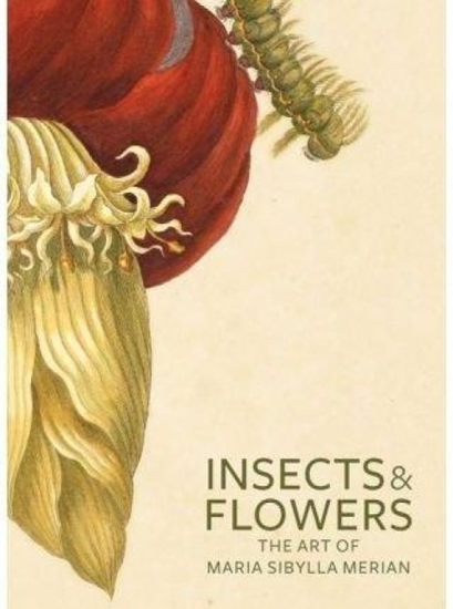 Afbeelding van J. Paul Getty Museum Insects and Flowers – The Art of Maria Sibylla Merian