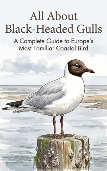 Afbeelding van All About Black-Headed Gulls