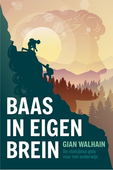 Afbeelding van Baas in eigen brein