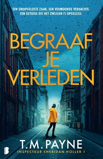 Afbeelding van Inspecteur Sheridan Holler Begraaf je verleden