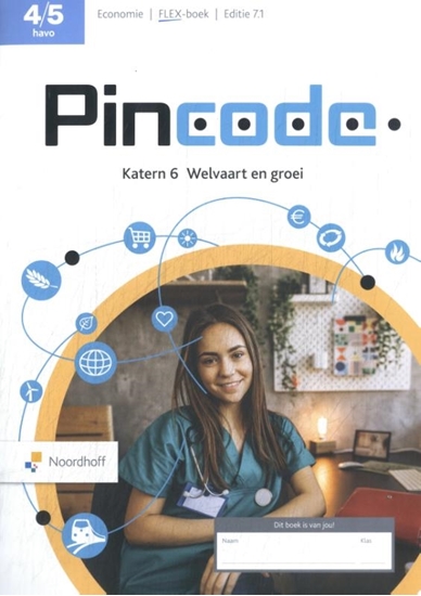 Afbeelding van Pincode havo 4/5 katern 6 Welvaart en groei Flex-boek
