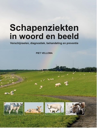 Afbeeldingen van Schapenziekten in woord en beeld