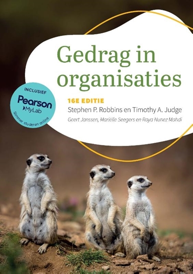 Afbeelding van Gedrag in organisaties