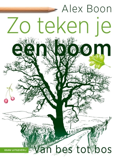 Afbeelding van Zo teken je een boom