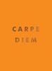 Afbeelding van Carpe Diem