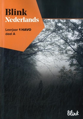 Afbeeldingen van Blink Nederlands Leerjaar 1 havo deel A