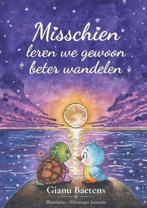 Afbeeldingen van Misschien leren we gewoon beter wandelen