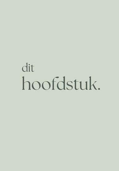 Afbeelding van dit hoofdstuk.