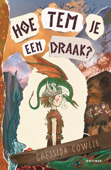 Afbeelding van Hoe tem je een draak? Hoe tem je een draak?