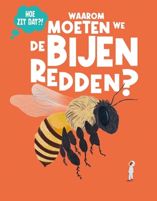 Afbeeldingen van Hoe zit dat? Waarom moeten we de bijen redden?