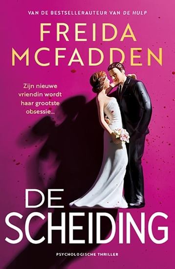 Afbeelding van De scheiding