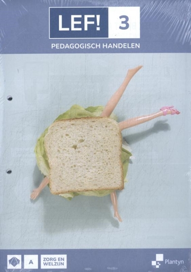 Afbeelding van LEF! LEF! 3 Zorg en welzijn Pedagogisch handelen Leerwerkboek