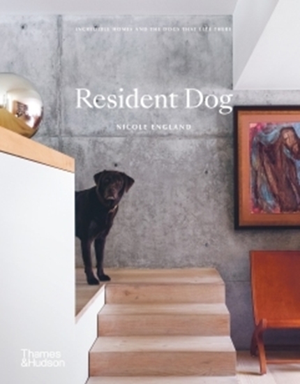 Afbeelding van Resident Dog