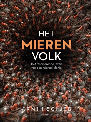 Afbeeldingen van Het mierenvolk
