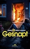 Afbeelding van Leeslicht Gesnapt