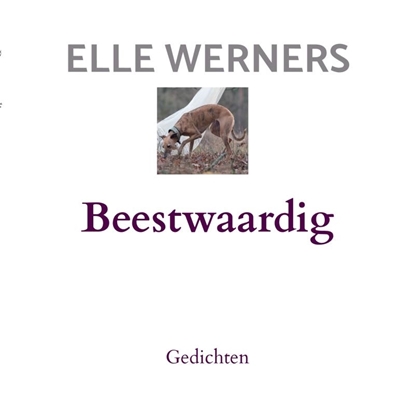 Afbeeldingen van Beestwaardig