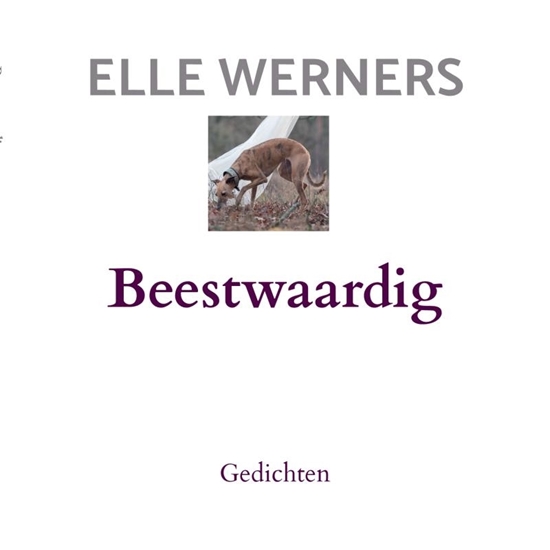 Afbeelding van Beestwaardig