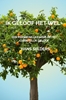 Afbeelding van Ik geloof het wel