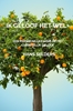 Afbeelding van Ik geloof het wel
