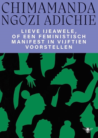 Afbeelding van Lieve Ijeawele of een feministisch manifest in vijftien voorstellen