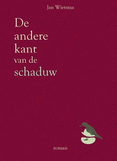 Afbeelding van De andere kant van de schaduw