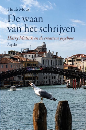 Afbeelding van De waan van het schrijven