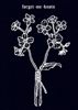 Afbeelding van forget me knots