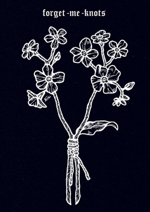 Afbeeldingen van forget me knots