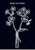 Afbeelding van forget me knots