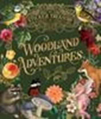 Afbeeldingen van Sticker Treasury The Sticker Treasury of Woodland Adventures