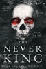 Afbeelding van Vicious Lost Boys The Never King (Vicious Lost Boys 1)