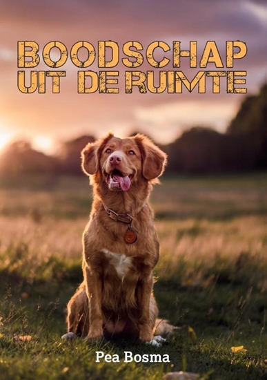 Afbeelding van Boodschap uit de Ruimte