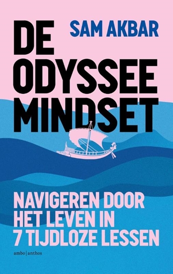 Afbeelding van De Odyssee Mindset